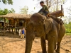 Tiger Trail - Luang Prabang, Laos