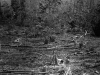 Tiger Trail - Luang Prabang, Laos