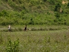 Tiger Trail - Luang Prabang, Laos